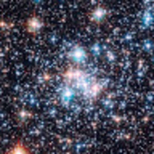 Meet your Posher, Alexi